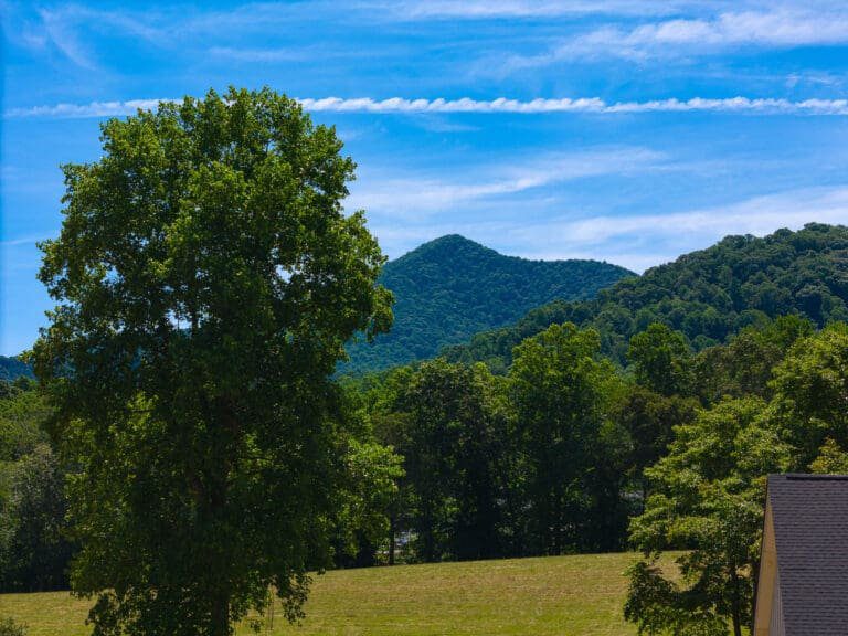 98 Bridgeway Dr. Big Hills Construction Custom Home Builder in Asheville, North Carolina