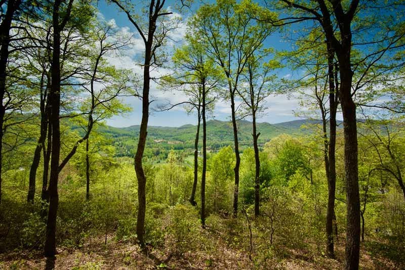 Introducing Our Latest Project: Nestled Homes Near the Walnut Cove Wellness Center. Big Hills Construction Custom Home Builder in Asheville, North Carolina