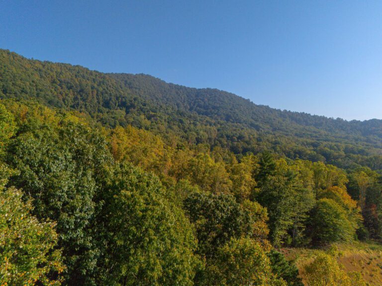 15 Venetian Dr. Big Hills Construction Custom Home Builder in Asheville, North Carolina